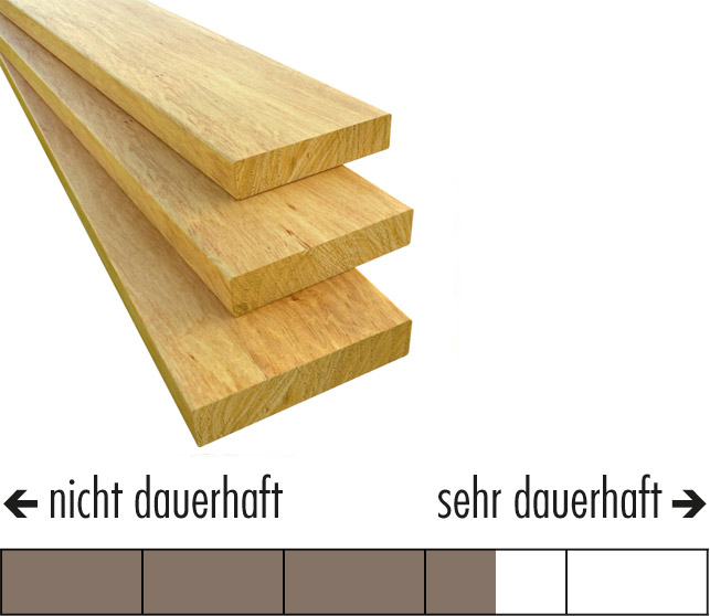 Kleines Holz-Lexikon